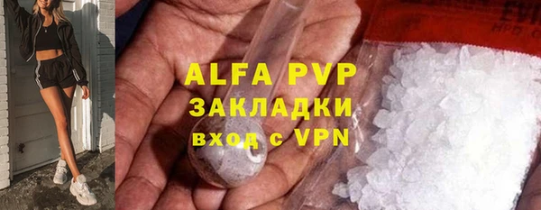 индика Магас