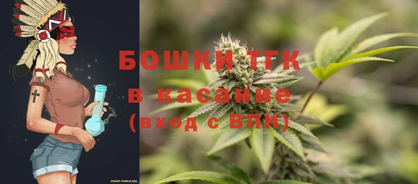 индика Магас