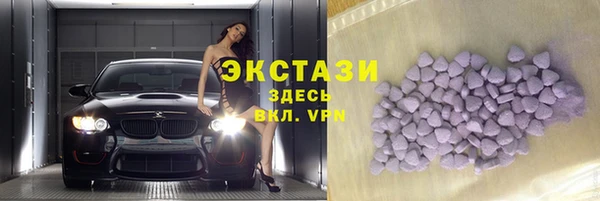 индика Магас