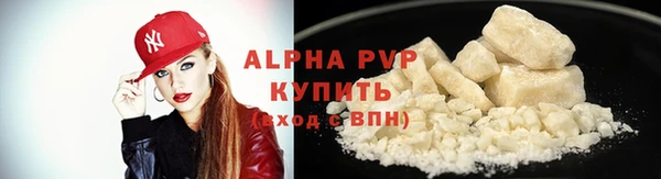 индика Магас