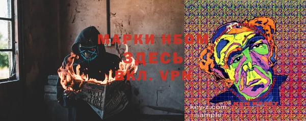 СК Бронницы