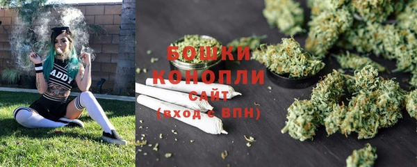 твердый Майский