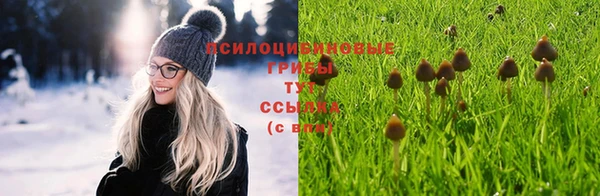 твердый Майский