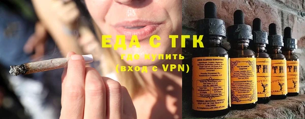 индика Магас