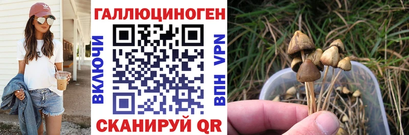 Псилоцибиновые грибы мухоморы  Геленджик 