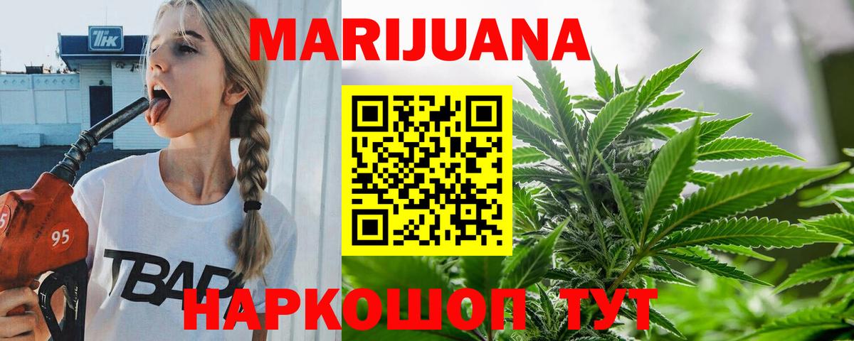 Каннабис сатива Геленджик